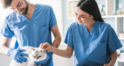 New competences for vet students to meet upon graduation